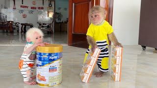 Super cute ! Monkey SinSin dances happily with baby monkey ZiZi with a gift from Dad