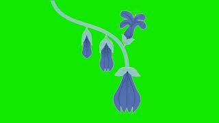 blooming happy flowers cartoon animated cartoon green screen video for youtubers copyright free