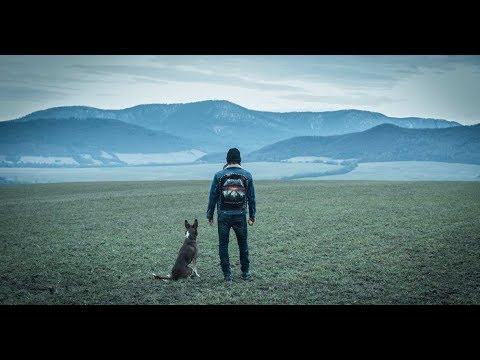YouTube відео