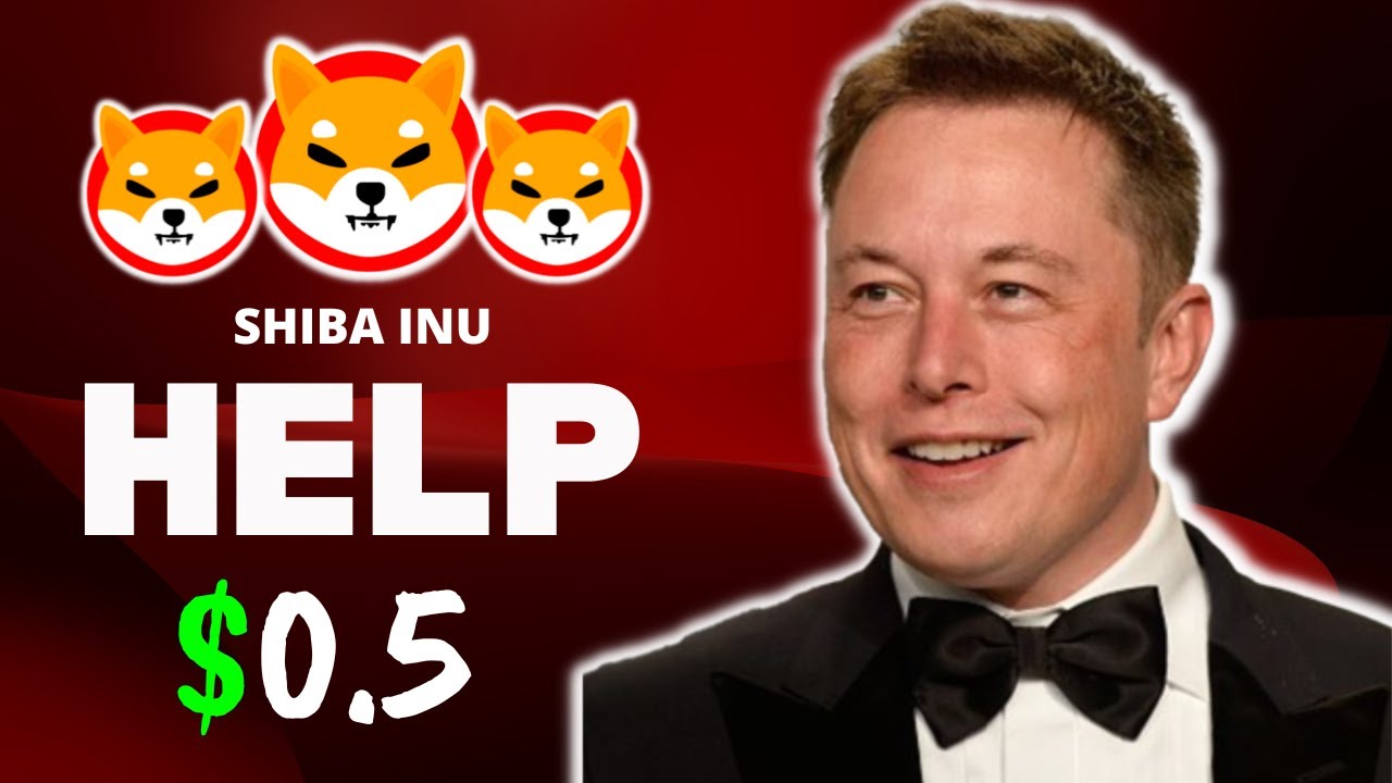 SHIBA INU PRICE PREDICTION Finally Shiba Inu Will Hit 0 5 Because shiba-inu-price-prediction-finally-shiba-inu-will-hit-0-5-because