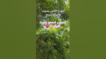 #الله #اكسبلور #قرآن #سورة_الناس #حسام_الدين_عبادي #قران_كريم #راحة_نفسية