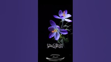 صباح الخير 💜 اجمل حالات واتس اب مقاطع قصيره💜 قران كريم  ان الله وملائكته يصلون على النبي 💜 بدون حقوق