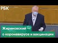 У Жириновского COVID-19. Самые яркие заявления лидера ЛДПР о пандемии и вакцинации