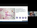VIDEHISTO #07 | Tejido conectivo - Células del tejido conectivo propiamente dicho y tejido adiposo