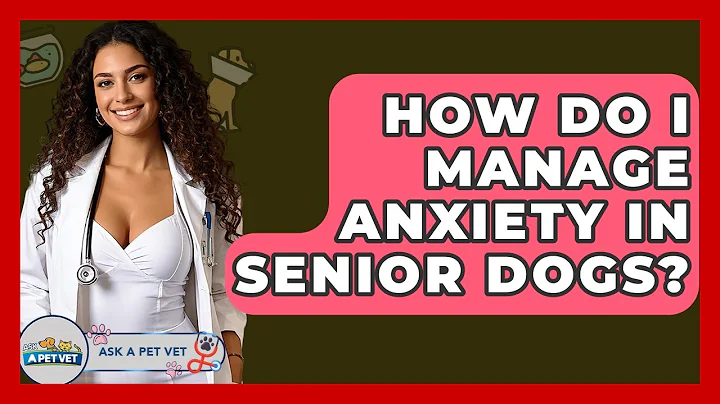 How Do I Manage Anxiety In Senior Dogs? - Ask A Pet Vet