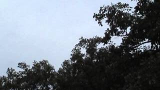 Kestrel Cass Co 2014Web