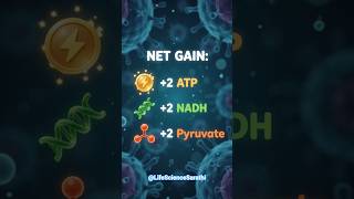 Glycolysis and its Net Gain| #lifescience #biology ##exam #shorts
