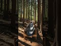 Mountain Log Transport Hack! U-Shaped Rubber Grip Boosts Safety #logging #transport #innovation