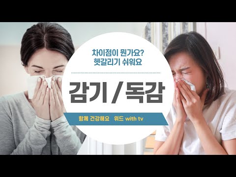 감기와 독감의 차이
