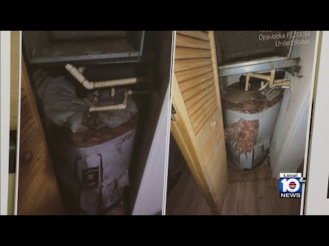 www.local10.com