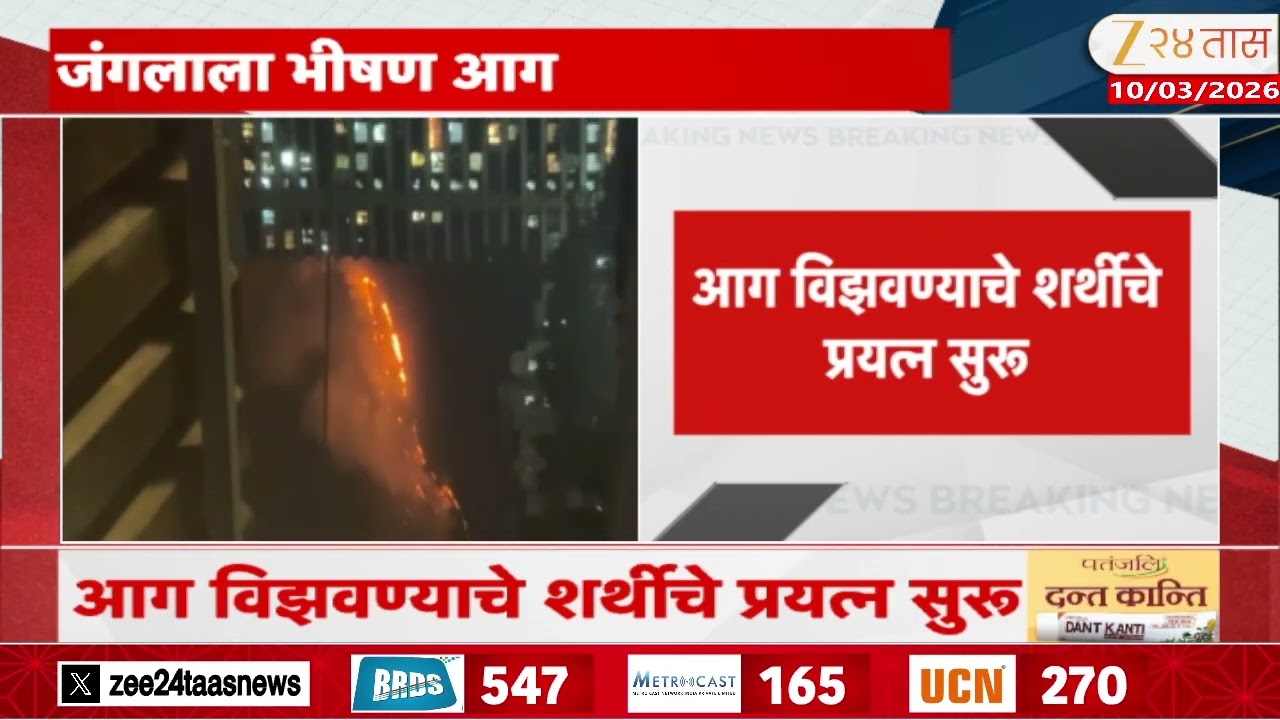 Sanjay Gandhi National Park Fire | संजय गांधी नॅशनल पार्कमधील जंगलाला आग