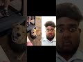 That's a LionDog😂 #trending #lol #tiktokviral