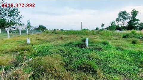 5x50 full thổ cư đường nhựa 290 triệu hết đất đường thông dân cư đông giá tốt