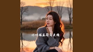 你明媒正娶负良缘 (DJ版)