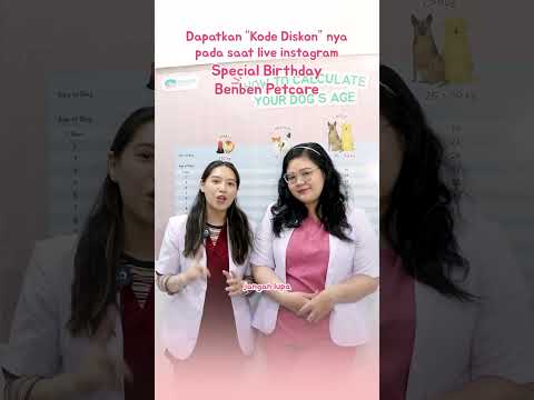 Putar Anniversaire Fu Yi - -M-