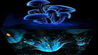 Beat music slide show