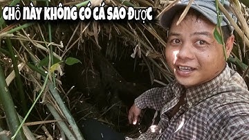 Tập 121 - Câu Cá Rô Đồng Trúng Luồng Cá Rô Già Cỡ Này Giật Đã Tay Thiệt | Trương Rô Miền Tây