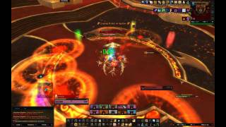 Solid Vs Majordomo Staghelm 10M Normal.