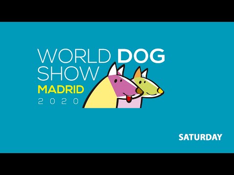 WORLD DOG SHOW 2020 - MADRID 2022 - SATURDAY