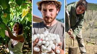 The Italian Radio Hour - Calabria, the ancient tradition of silkworm breeding, and Nido di Seta