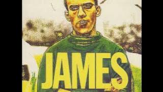 James - Sit Down - Original 1989 Release 3' CD Version