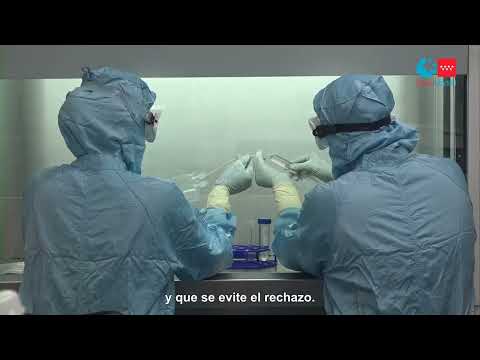 Hospital Gregorio Marañón - Tratamiento para evitar el rechazo en trasplante cardiaco infantil