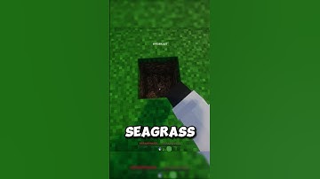 How do you make an infinite water source with just one bucket? #minecraft #shorts