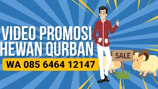 085 6464 12147 Jasa video promosi untuk iklan penjualan hewan kurban qorban Qurban Baubau
