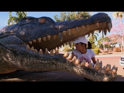 Normanton Holiday Travel Video guide, Queensland A...