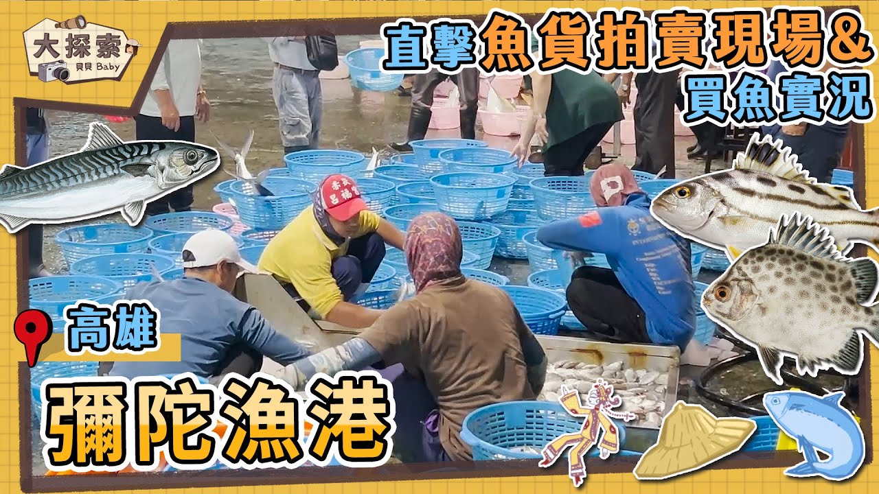 【漁港走透透 Fishing Harbor Tales】#66 高雄彌陀漁港及魚貨拍賣實況｜Fishing Port & Seafood ｜ EP_162