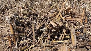 360 Yield Minute - Spring Assessment of 360 CHAINROLL