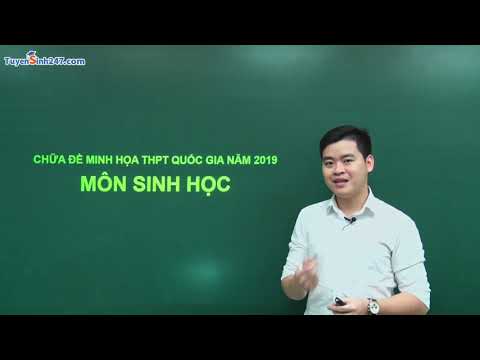 Phân tích và hướng dẫn giải đề thi minh hoạ THPT QG môn Sinh năm 2019 – Thầy Nguyễn Đức Hải Phân tích và hướng dẫn giải đề thi minh hoạ THPT QG môn Sinh năm 2019 – Thầy Nguyễn Đức Hải