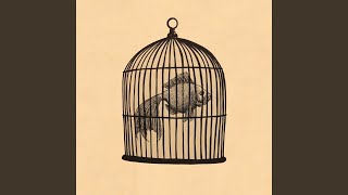 Vignette de la vidéo "Fish in a Birdcage - Rule #3 - Paperwork"