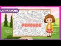 La paracha pekoude pour les enfants