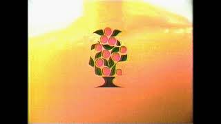 American Cancer Foundation Commercial