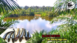 Spot Mancing Hot Pinggir Jalan Casting Di Air Hitam