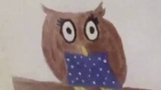 owl ignores liquid nitrogen spray