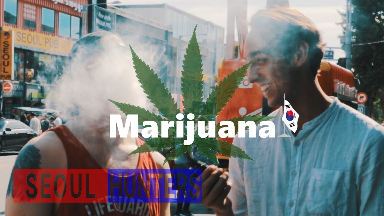 Illegal Illegal