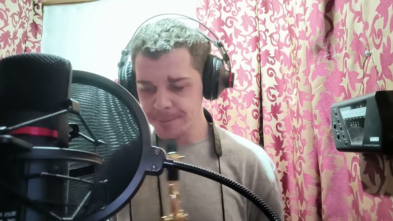 Не тревожь мне душу скрипка(В.Меладзе)- Saxophone cover Valentin Tetradov