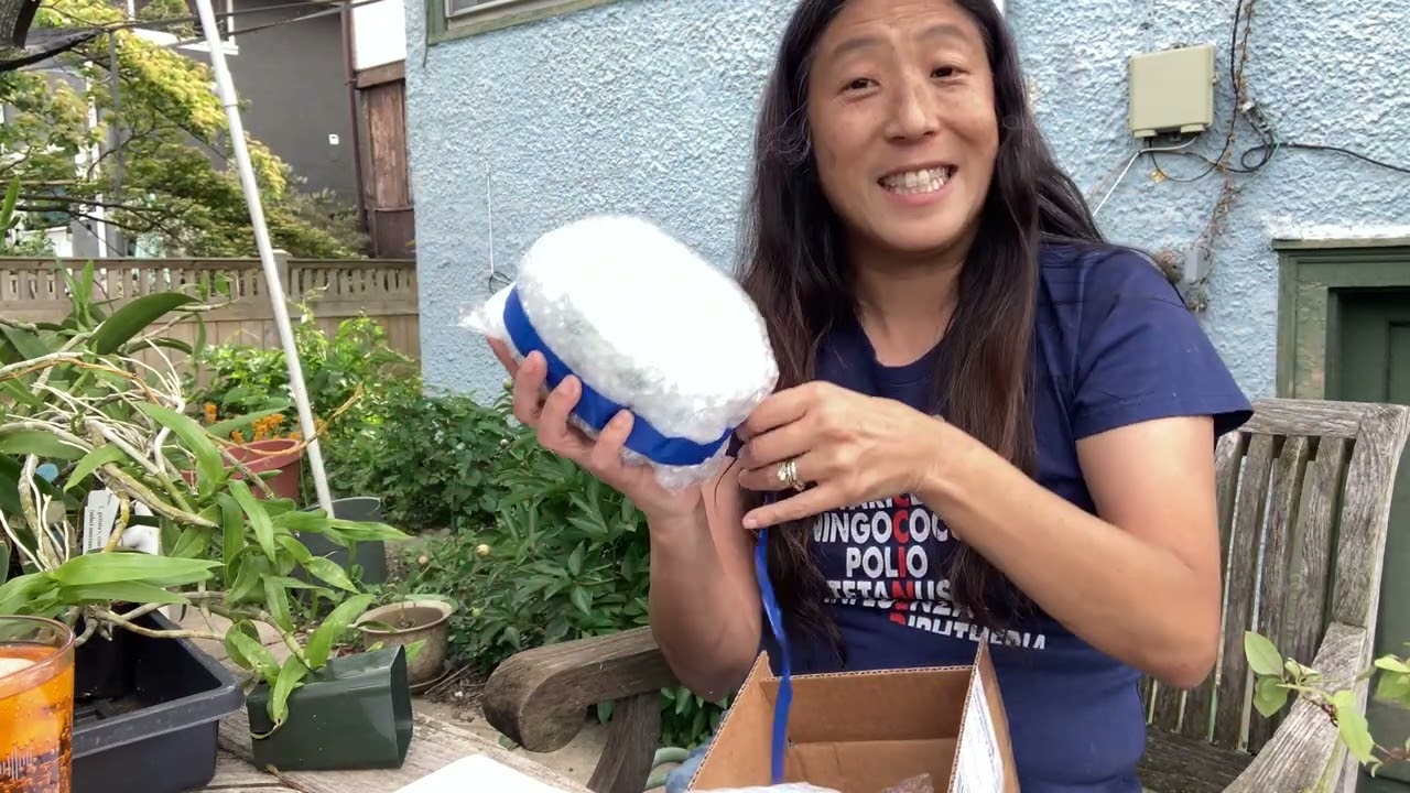 Orchid Hunters: Unboxing Louisiana Orchid Connection