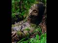 Mysterious Things Found In Forest Shorts Viral Forest Mysterious Things Found In Forest Shorts Viral Forest