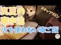 【わんこと女子の車中泊】真夏の快適車中泊と車ごはん♪