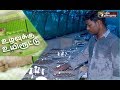 Uzhavukku Uyiroottu : காளான் வளர்ப்பு | Mushroom Cultivation |  (13/01/2018) | Puthiyathalaimurai Tv