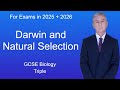 Darwin's Evolution Theory and the Journey to Acceptance