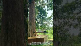 “खामोशी का सुकून” #Khamoshi #Sukoon #HealingJourney #InnerPeace #AloneButStrong#DilKiBaatein #Broken