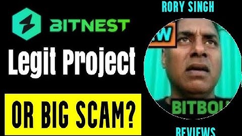 BitNest Review | Reboot of Yunus Loop DEFI Scam Project?