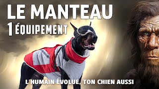 WHY USE A COAT FOR DOGS? by Peps et Scot Passion Chiens 4,422 views 3 months ago 12 minutes, 3 seconds