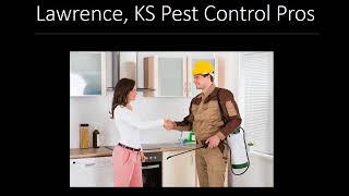 Lawrence  Birds & Flying Pest Control | Birds & Flying Pest Control Service in Lawrence, KS