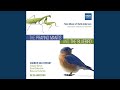 The praying mantis and the bluebird for flute and piano