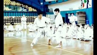 Mikio Yahara sensei in stronger Action.